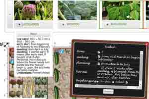 online garden planner helps you plan a vegetable garden according to the model of nature 